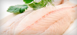 peixe-panga
